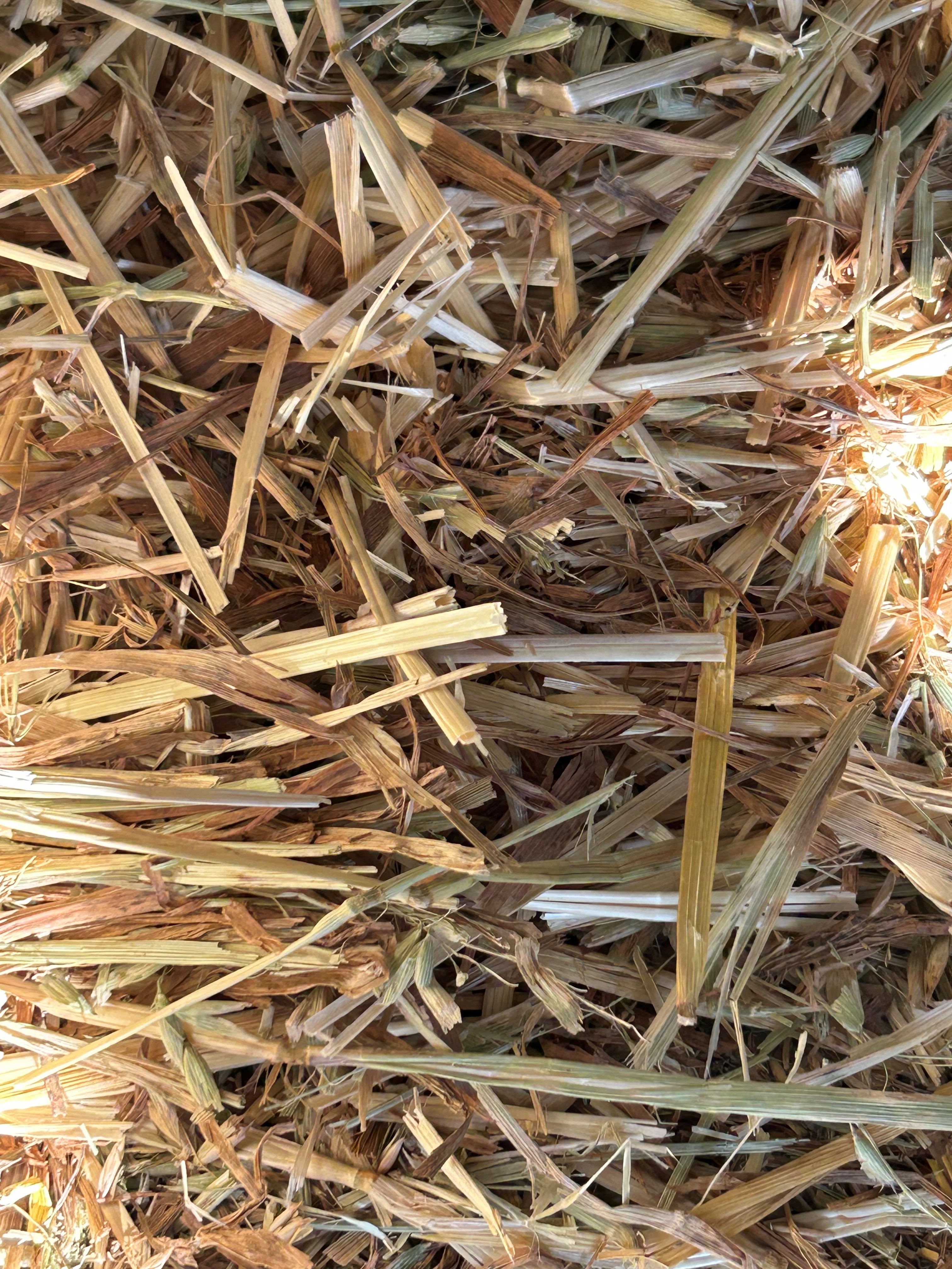 500g Oaten Hay - Click Image to Close